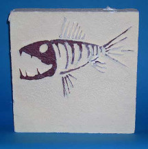 foam_fish